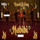 Habibi Salamalekum Nepali DJ Song Single