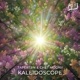 Kaleidoscope Single