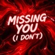 Missing You I Don t Single