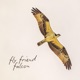 falcon Single