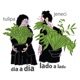 Dia a Dia Lado a Lado Single