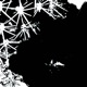 Like Snow Beneath the Rain Single