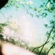 love EP