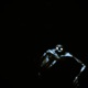 SKINWALKER KAIJUMXNE Remix Single