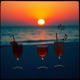 Heatwave Flow Single