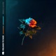 Feelings To Fade Single