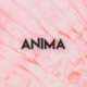 Anima Extended Mix Single