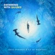 Swimming With Sharks Single