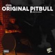 Original Pitbull Single