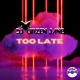 Too Late Single