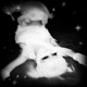 empty promises feat iveyy s lullaby Single