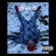 Wake Sleep In the Rain Single