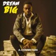 Dream Big Single
