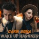 Wake Up harsner Single