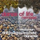 Dance of Life Remixes Single
