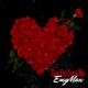 Can You Love Me Single