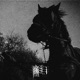 Мрак II