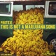 This Is Not a Marijuna Song Single