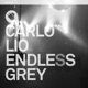 Endless Grey Single