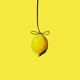 Lemon Drop Single