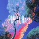 paper chase Single