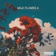 Wild Flower 6 Single