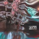 Fluid Motion