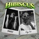 Hibiscus feat Yaggy Single
