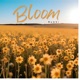 Shine Single
