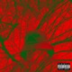 Dumbass feat Zelooperz Single