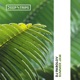 Summer Jam Single