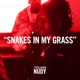 Snakes In My Grass Single