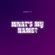 What s My Name 8D Audio Single