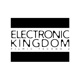 Electronic Kingdom II