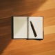 Diary Single