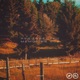 Resurrected Memories II Single