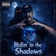 Hidin In The Shadows Single