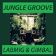 Jungle Groove Single