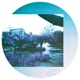 Secret Island Single