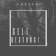 Self Destruct Single