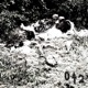 PIT of the IGNORED feat LORD DISTORTION Single