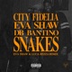Snakes feat Db Bantino Eva Shaw Luca Rezza Remix Single
