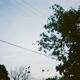 Karma Single