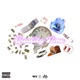 Quality Time Single