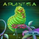 A Plant Is a God Single