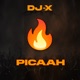 Picaah Single