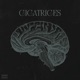 Cicatrices Single