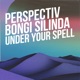 Under Your Spell Single