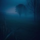 Somber Single