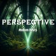 Perspective Single